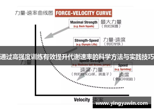 通过高强度训练有效提升代谢速率的科学方法与实践技巧