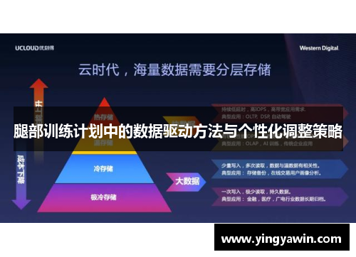 腿部训练计划中的数据驱动方法与个性化调整策略